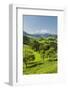 Upper Austrian Alpine Foothills Close Maria Neustift, Pear Trees, Austria-Rainer Mirau-Framed Photographic Print