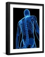 Upper Body Bones, Artwork-SCIEPRO-Framed Photographic Print