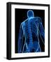 Upper Body Bones, Artwork-SCIEPRO-Framed Photographic Print