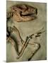 Upper Body of Notoungulata Fossil-Kevin Schafer-Mounted Photographic Print