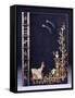 Upper Book Cover of Two Shooting-Stars-null-Framed Stretched Canvas