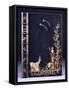 Upper Book Cover of Two Shooting-Stars-null-Framed Stretched Canvas