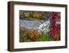 Upper Cataract Falls on Mill Creek in Autumn at Lieber Sra, Indiana-Chuck Haney-Framed Photographic Print