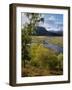 Upper Dee Valley Near Inverey, Deeside, Aberdeenshire, Scotland, United Kingdom, Europe-Patrick Dieudonne-Framed Photographic Print