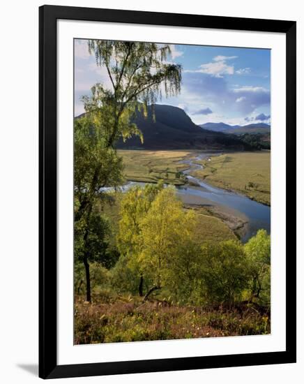 Upper Dee Valley Near Inverey, Deeside, Aberdeenshire, Scotland, United Kingdom, Europe-Patrick Dieudonne-Framed Photographic Print