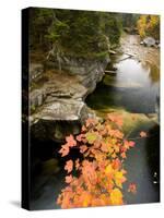 Upper Falls on the Ammonoosuc River, White Mountains, New Hampshire, USA-Jerry & Marcy Monkman-Stretched Canvas