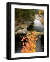 Upper Falls on the Ammonoosuc River, White Mountains, New Hampshire, USA-Jerry & Marcy Monkman-Framed Photographic Print
