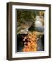 Upper Falls on the Ammonoosuc River, White Mountains, New Hampshire, USA-Jerry & Marcy Monkman-Framed Photographic Print