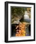 Upper Falls on the Ammonoosuc River, White Mountains, New Hampshire, USA-Jerry & Marcy Monkman-Framed Photographic Print