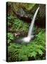 Upper Horsetail Falls-Steve Terrill-Stretched Canvas