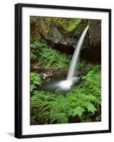 Upper Horsetail Falls-Steve Terrill-Framed Photographic Print