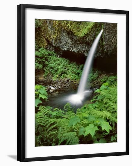 Upper Horsetail Falls-Steve Terrill-Framed Photographic Print