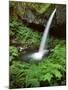 Upper Horsetail Falls-Steve Terrill-Mounted Photographic Print