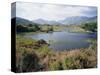 Upper Lake and Macgillycuddy's Reeks, Ring of Kerry, Killarney, Munster, Republic of Ireland (Eire)-Roy Rainford-Stretched Canvas