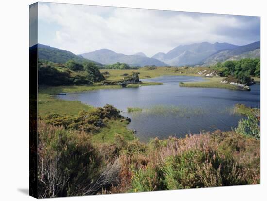 Upper Lake and Macgillycuddy's Reeks, Ring of Kerry, Killarney, Munster, Republic of Ireland (Eire)-Roy Rainford-Stretched Canvas