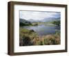 Upper Lake and Macgillycuddy's Reeks, Ring of Kerry, Killarney, Munster, Republic of Ireland (Eire)-Roy Rainford-Framed Photographic Print