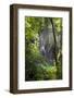 Upper Lakes, Ponds and Waterfalls, Plitvice Lakes, Plitvicka Jezera, Croatia-Martin Zwick-Framed Photographic Print