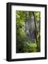 Upper Lakes, Ponds and Waterfalls, Plitvice Lakes, Plitvicka Jezera, Croatia-Martin Zwick-Framed Photographic Print