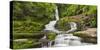 Upper Mclean Falls, Catlins, Southland South Island, New Zealand-Rainer Mirau-Stretched Canvas