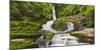 Upper Mclean Falls, Catlins, Southland South Island, New Zealand-Rainer Mirau-Mounted Photographic Print