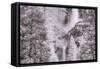 Upper Meets Lower Yosemite Falls, Infrared-Vincent James-Framed Stretched Canvas