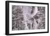 Upper Meets Lower Yosemite Falls, Infrared-Vincent James-Framed Photographic Print