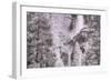 Upper Meets Lower Yosemite Falls, Infrared-Vincent James-Framed Photographic Print