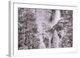 Upper Meets Lower Yosemite Falls, Infrared-Vincent James-Framed Photographic Print