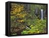 Upper Multnomah Falls-Steve Terrill-Framed Stretched Canvas