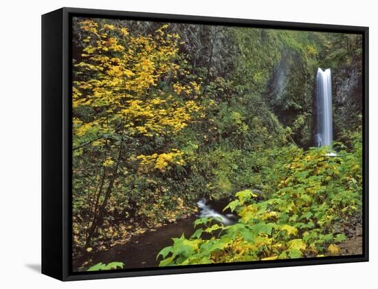 Upper Multnomah Falls-Steve Terrill-Framed Stretched Canvas