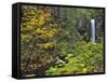 Upper Multnomah Falls-Steve Terrill-Framed Stretched Canvas