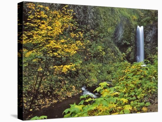 Upper Multnomah Falls-Steve Terrill-Stretched Canvas