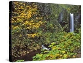 Upper Multnomah Falls-Steve Terrill-Stretched Canvas