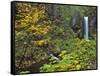 Upper Multnomah Falls-Steve Terrill-Framed Stretched Canvas