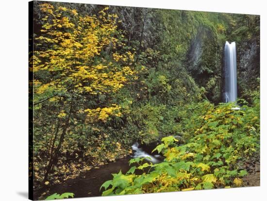 Upper Multnomah Falls-Steve Terrill-Stretched Canvas