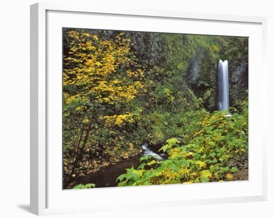 Upper Multnomah Falls-Steve Terrill-Framed Photographic Print