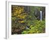 Upper Multnomah Falls-Steve Terrill-Framed Photographic Print