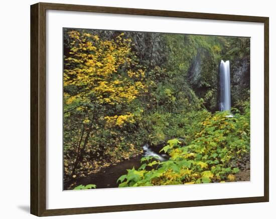 Upper Multnomah Falls-Steve Terrill-Framed Photographic Print