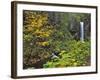 Upper Multnomah Falls-Steve Terrill-Framed Photographic Print