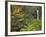 Upper Multnomah Falls-Steve Terrill-Framed Photographic Print