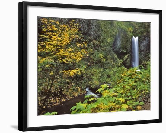 Upper Multnomah Falls-Steve Terrill-Framed Photographic Print