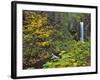 Upper Multnomah Falls-Steve Terrill-Framed Photographic Print