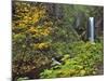 Upper Multnomah Falls-Steve Terrill-Mounted Photographic Print