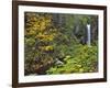 Upper Multnomah Falls-Steve Terrill-Framed Photographic Print