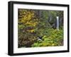 Upper Multnomah Falls-Steve Terrill-Framed Photographic Print