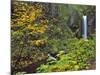 Upper Multnomah Falls-Steve Terrill-Mounted Photographic Print