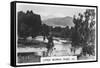 Upper Murray River, Victoria, Australia, 1928-null-Framed Stretched Canvas