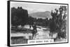 Upper Murray River, Victoria, Australia, 1928-null-Framed Stretched Canvas