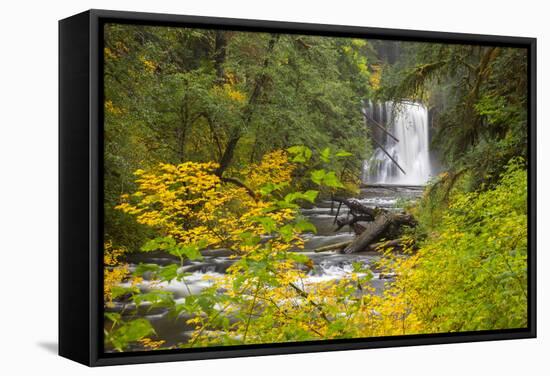 Upper North Falls, Silver Falls State Park, Oregon, USA-Jamie & Judy Wild-Framed Stretched Canvas
