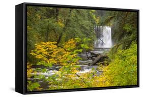 Upper North Falls, Silver Falls State Park, Oregon, USA-Jamie & Judy Wild-Framed Stretched Canvas